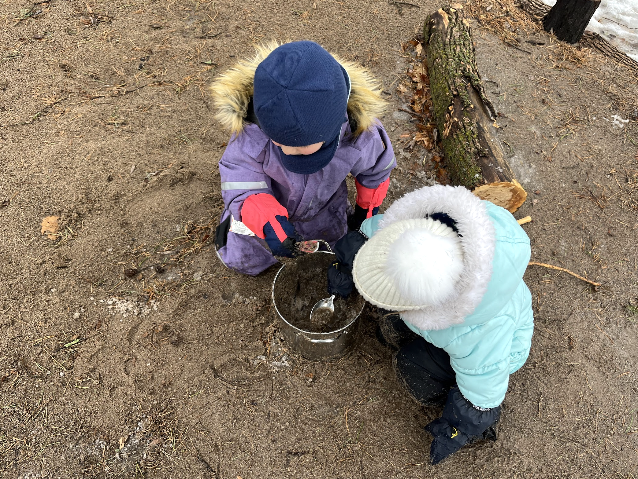 Nature school activity